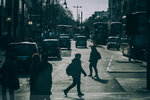 8c-0007-IMG_1537