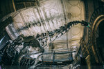 8c-0129-IMG_1725