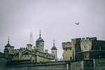 8c-0718-P1650258