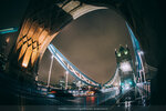 8c-1003-IMG_3041