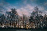 3-0177-IMG_6860