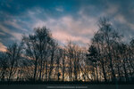 3-0179-IMG_6867
