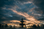 3-0184-IMG_6884