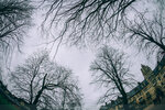 5-0066-IMG_7079