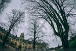 5-0067-IMG_7088