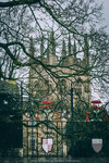 5-0076-IMG_7112