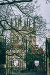5-0077-IMG_7117