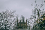5-0080-IMG_7125