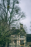 5-0083-IMG_7153