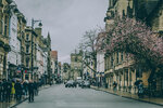 5-0109-IMG_7195
