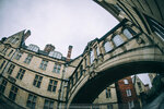 5-0205-IMG_7347