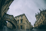5-0213-IMG_7364