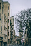5-0226-IMG_7386