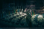 7-0094-IMG_0974