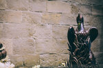 7-0110-IMG_0994