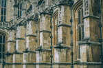 6-0081-IMG_7495