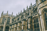 6-0082-IMG_7497