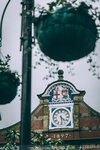 6-0109-IMG_7556a