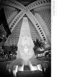 IMG_5094