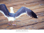IMG_2579
