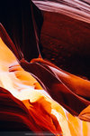 0333-P1230509
