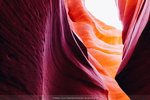 0537-IMG_3721
