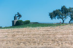 IMG_6132