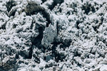 0779-IMG_4588