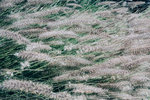 0013-P1220158
