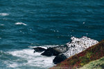 0903-IMG_5252