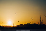 1020-IMG_5892