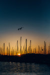 1029-IMG_5928