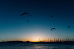 1033-IMG_5962