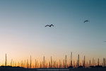 1036-IMG_5983