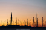 1041-IMG_5997