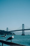 1112-P1260488