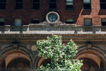 1299-IMG_6690