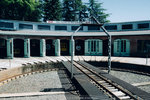 1466-P1270628