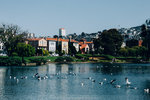 1554-IMG_7469