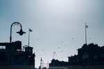 1623-IMG_8089