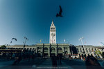 1768-IMG_8887