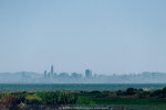 1781-IMG_8929