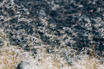 1788-IMG_8985