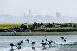 1803-IMG_9057