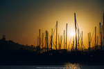 1843-IMG_9286