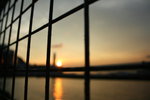 IMG_1478
