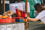6-Zhouzhuang-0039-P1270317