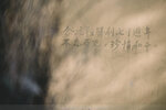 6-Zhouzhuang-0050-P1270344