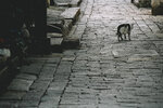 6-Zhouzhuang-0051-P1270346