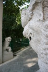 IMG_1396